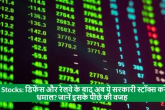 Will These Government Stocks Rally After Defense and Railways? Know the Reason Behind It